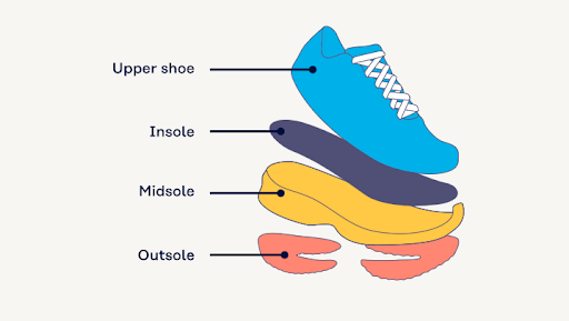 Labeled shoe sole cross-section: outsole, midsole, insole - Kiwiind